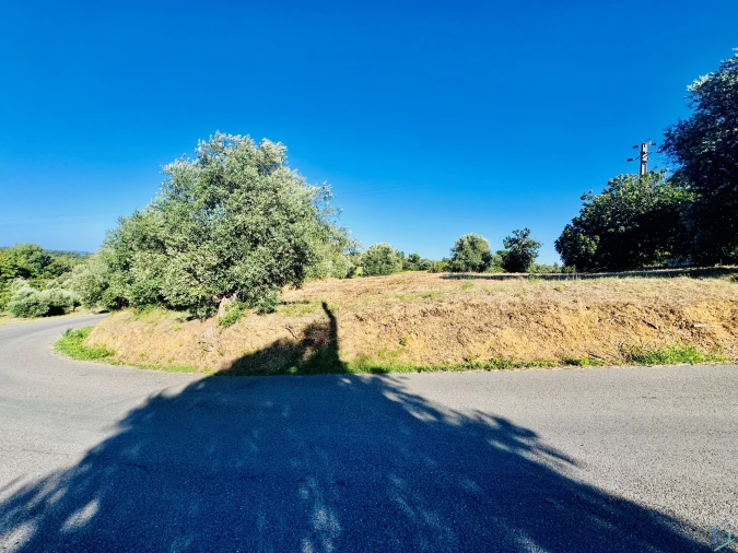 Terreno Agricola ou Rústico para Venda em Paialvo Foto 25