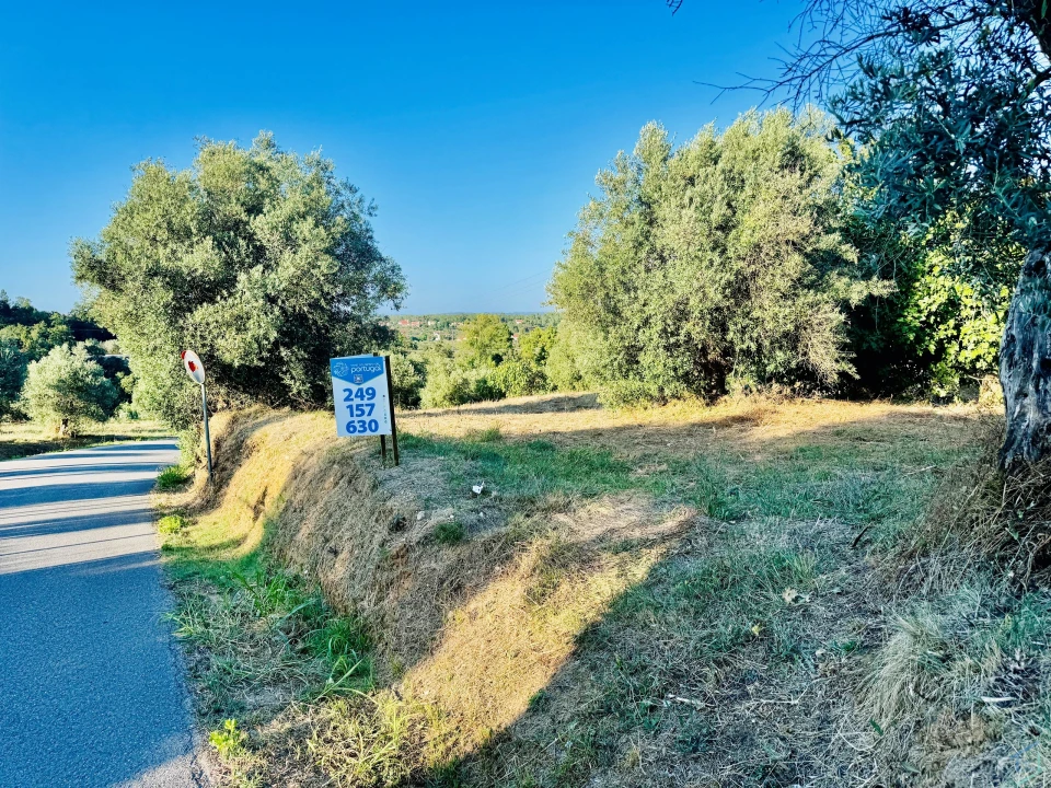 Terreno Agricola ou Rústico para Venda em Paialvo Foto 2