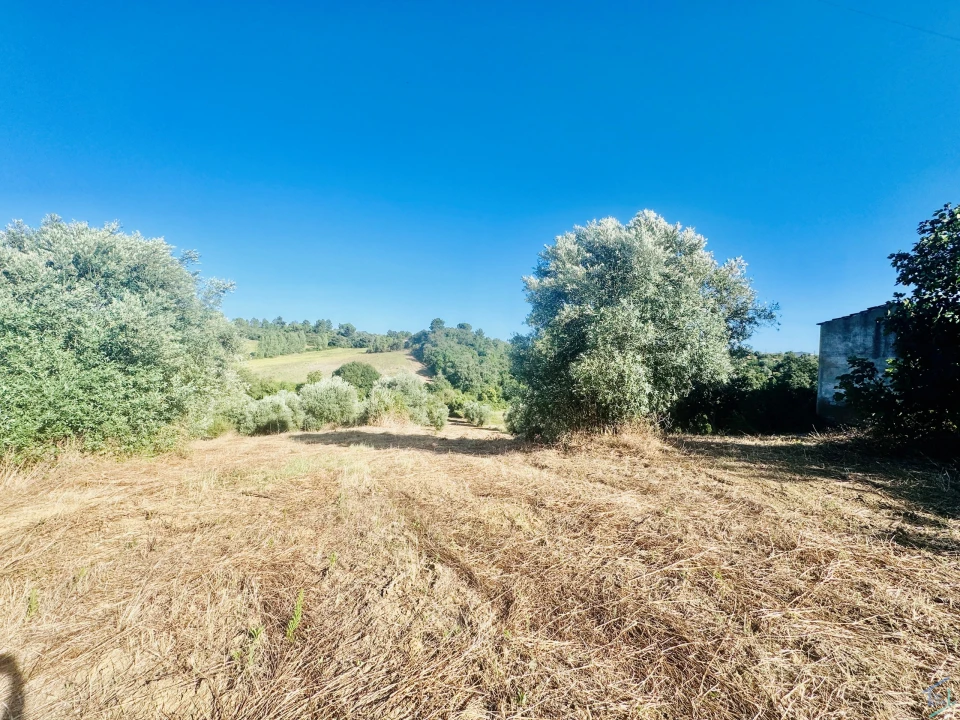 Terreno Agricola ou Rústico para Venda em Paialvo Foto 8