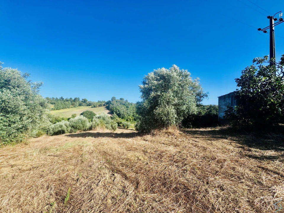 Terreno Agricola ou Rústico para Venda em Paialvo Foto 9