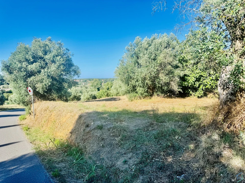 Terreno Agricola ou Rústico para Venda em Paialvo Foto 23