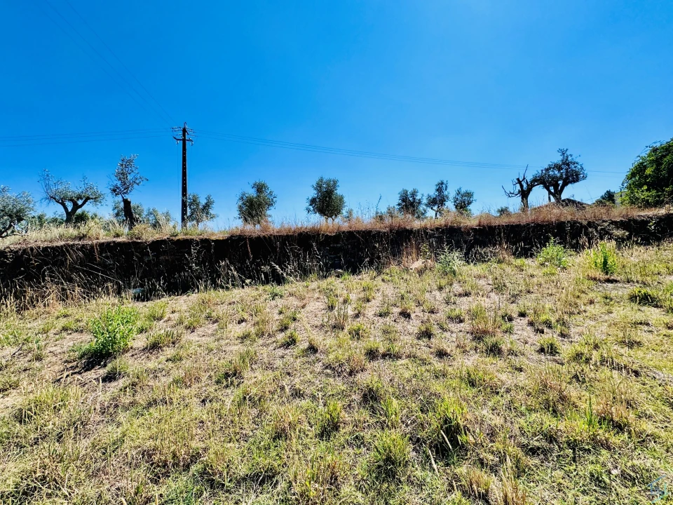 Terreno Agricola ou Rústico para Venda em São Pedro de Tomar Foto 13