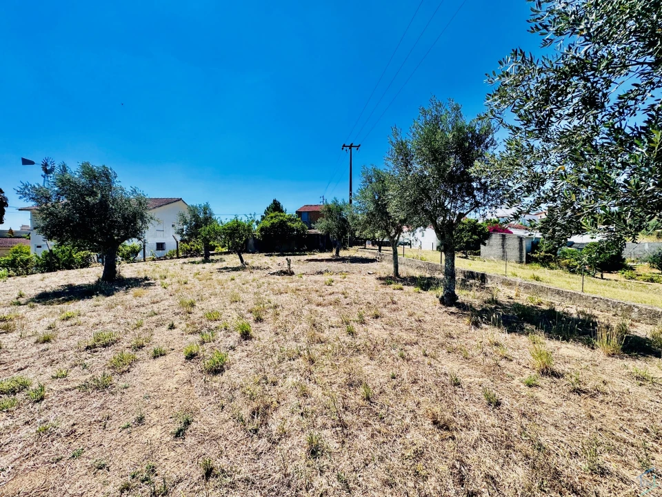 Terreno Agricola ou Rústico para Venda em São Pedro de Tomar Foto 21