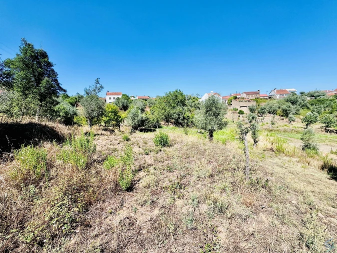 Terreno Agricola ou Rústico para Venda em São Pedro de Tomar Foto 11