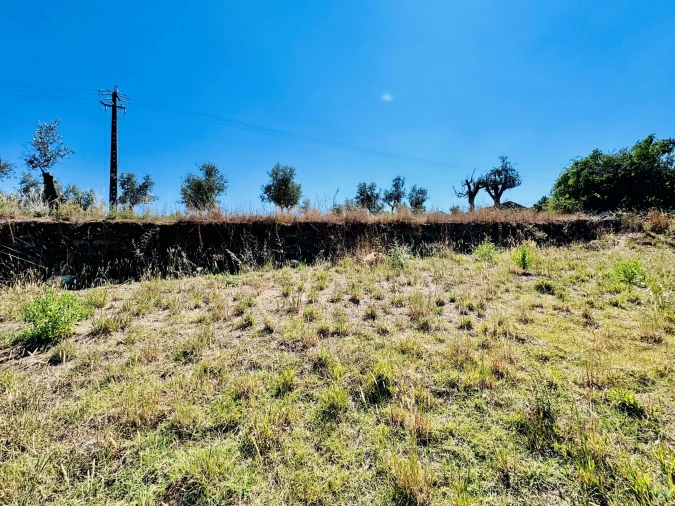 Terreno Agricola ou Rústico para Venda em São Pedro de Tomar Foto 12
