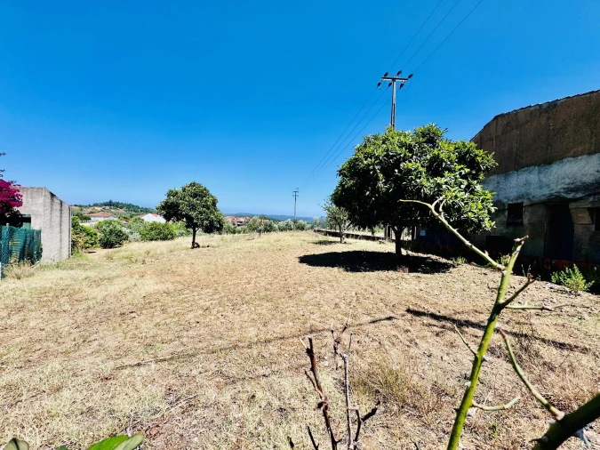Terreno Agricola ou Rústico para Venda em São Pedro de Tomar Foto 8