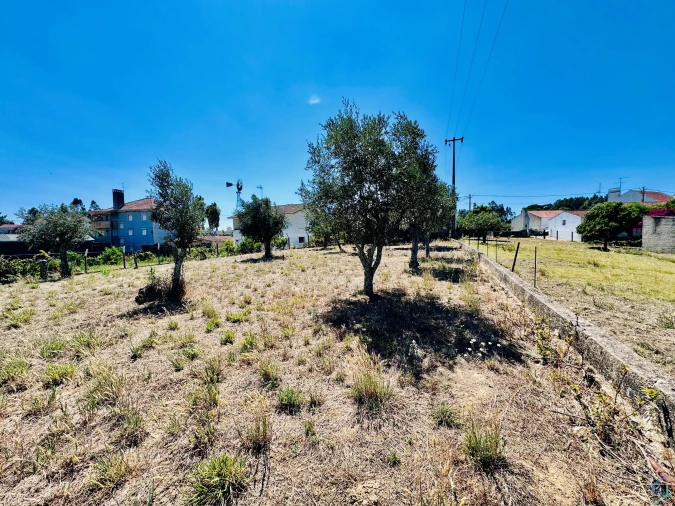 Terreno Agricola ou Rústico para Venda em São Pedro de Tomar Foto 19