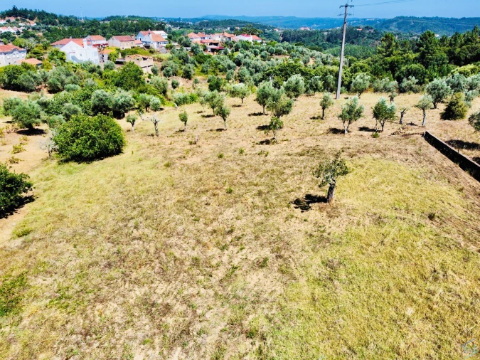 Terreno Agricola ou Rústico para Venda em São Pedro de Tomar Foto 1