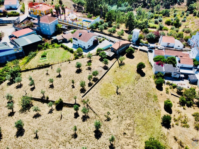 Terreno Agricola ou Rústico para Venda em São Pedro de Tomar Foto 5