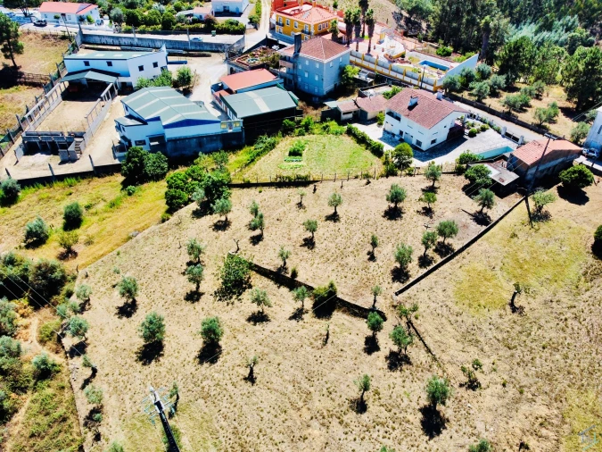 Terreno Agricola ou Rústico para Venda em São Pedro de Tomar Foto 6
