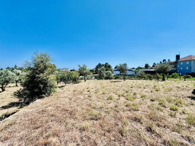 Terreno Agricola ou Rústico para Venda em São Pedro de Tomar Foto 20