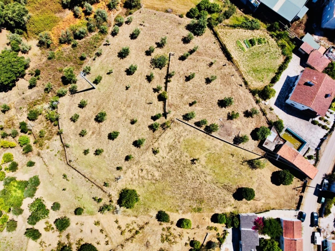 Terreno Agricola ou Rústico para Venda em São Pedro de Tomar Foto 4