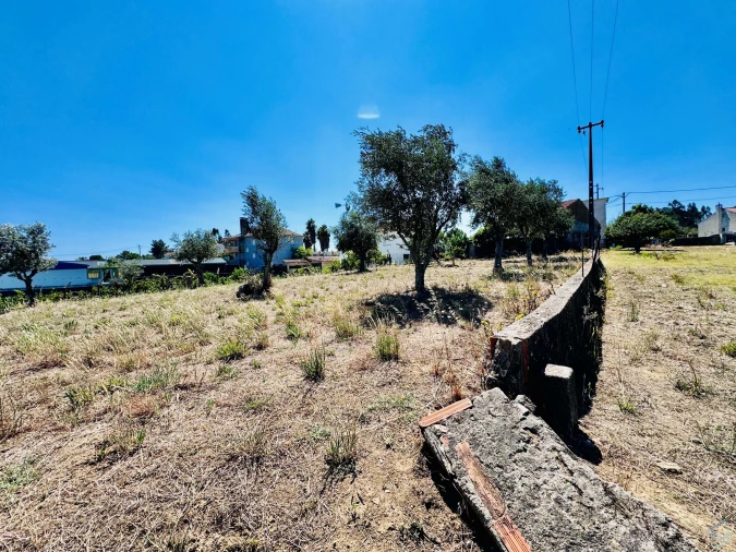 Terreno Agricola ou Rústico para Venda em São Pedro de Tomar Foto 17