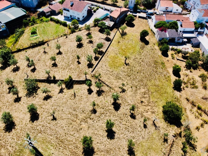 Terreno Agricola ou Rústico para Venda em São Pedro de Tomar Foto 7