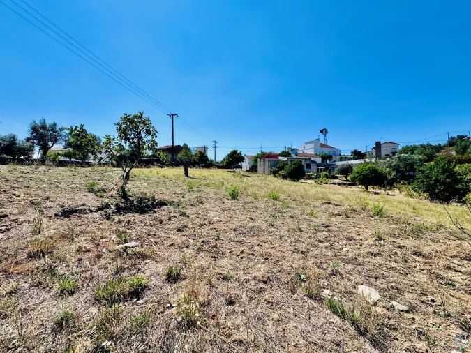 Terreno Agricola ou Rústico para Venda em São Pedro de Tomar Foto 16