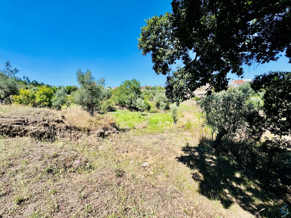 Terreno Agricola ou Rústico para Venda em São Pedro de Tomar Foto 9