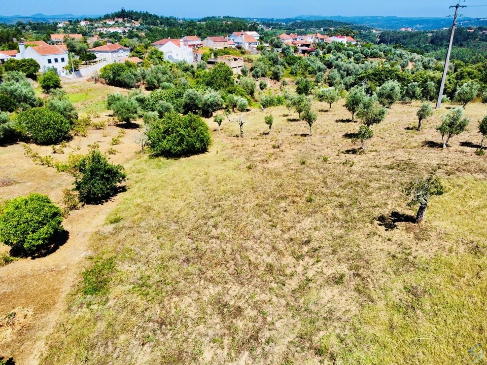 Terreno Agricola ou Rústico para Venda em São Pedro de Tomar Foto 3