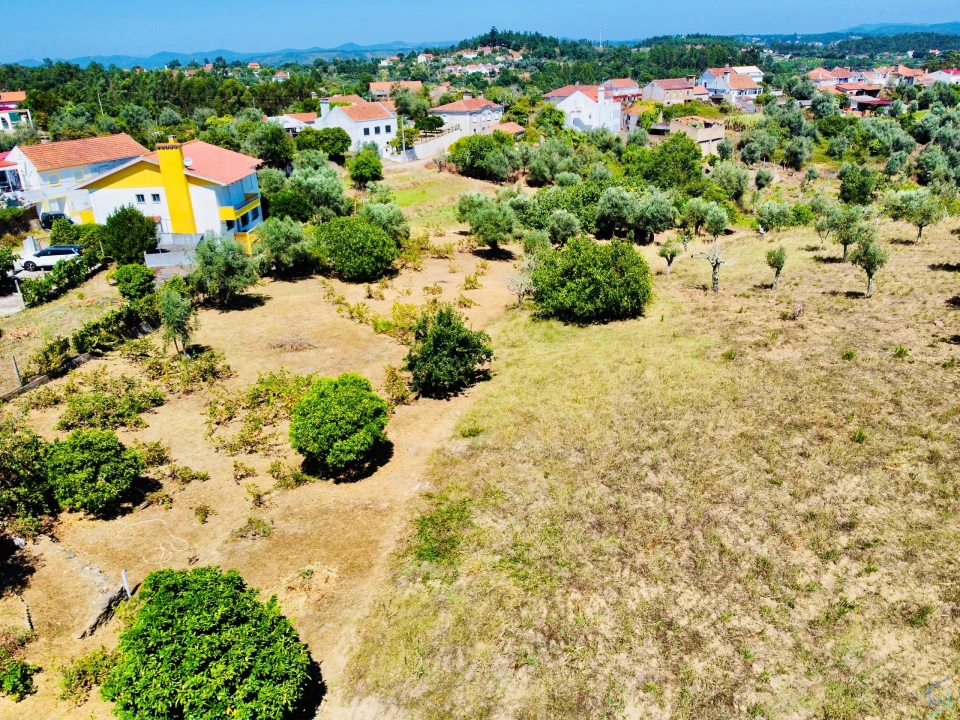 Terreno Agricola ou Rústico para Venda em São Pedro de Tomar Foto 2
