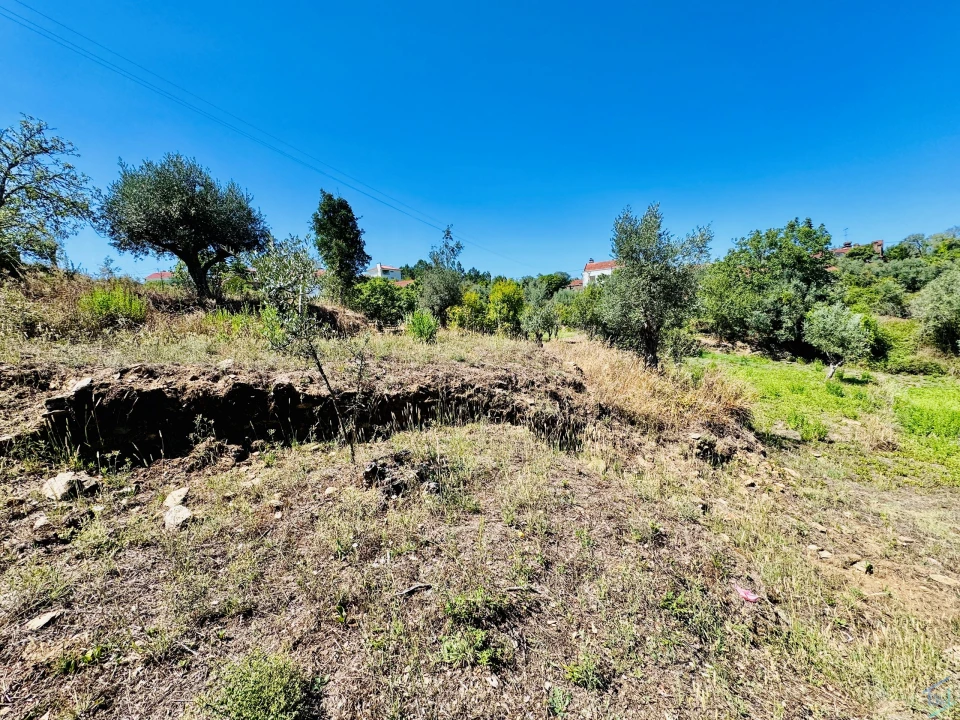 Terreno Agricola ou Rústico para Venda em São Pedro de Tomar Foto 10