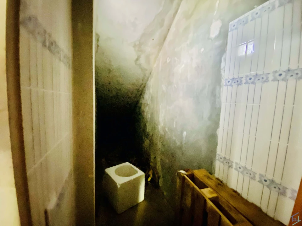 Negócio para Venda em Asseiceira Foto 19