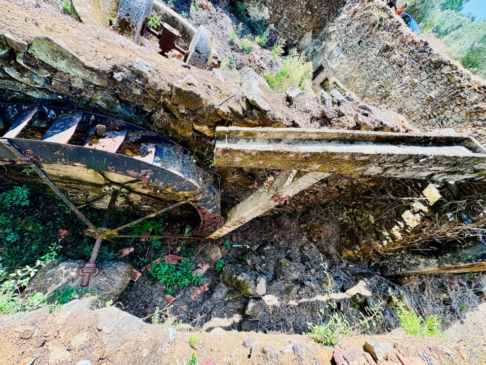 Terreno Agricola ou Rústico para Venda em Sardoal Foto 15