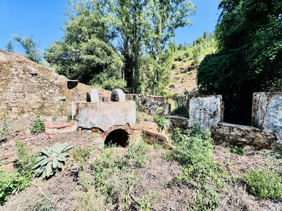 Terreno Agricola ou Rústico para Venda em Sardoal Foto 18
