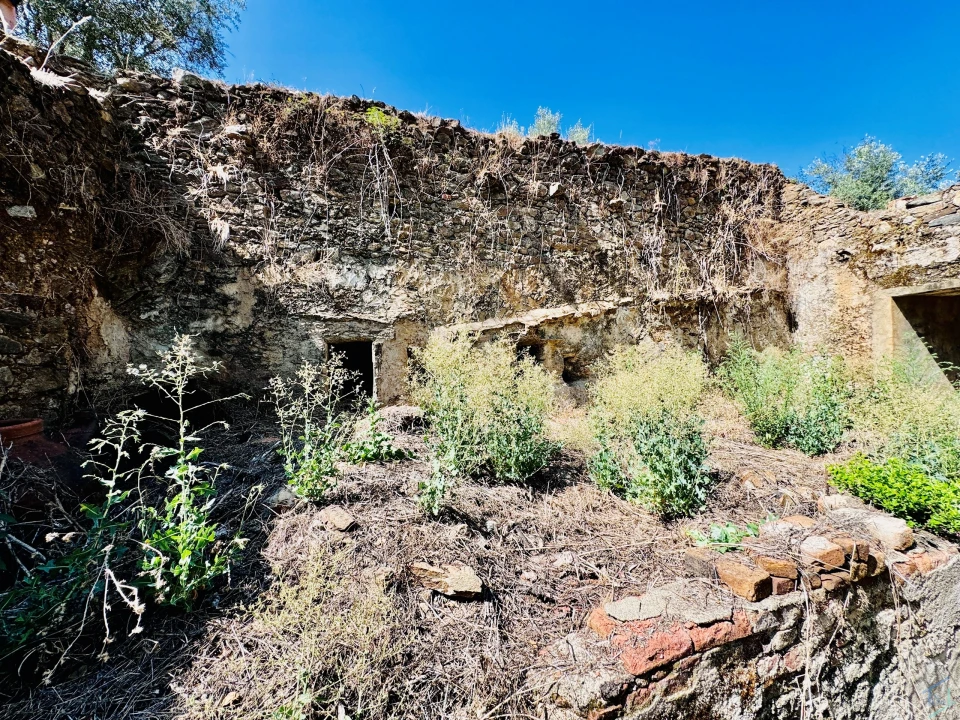 Terreno Agricola ou Rústico para Venda em Sardoal Foto 20