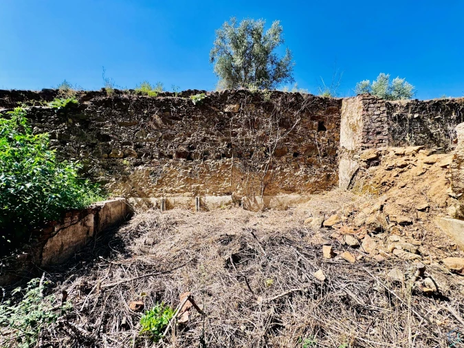 Terreno Agricola ou Rústico para Venda em Sardoal