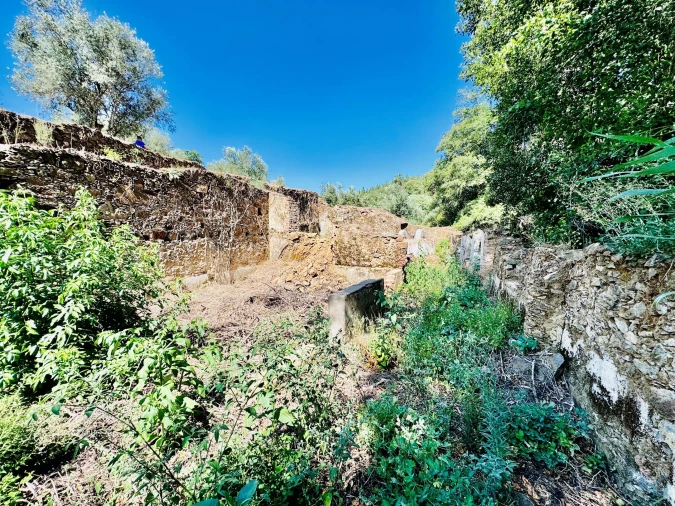 Terreno Agricola ou Rústico para Venda em Sardoal Foto 9