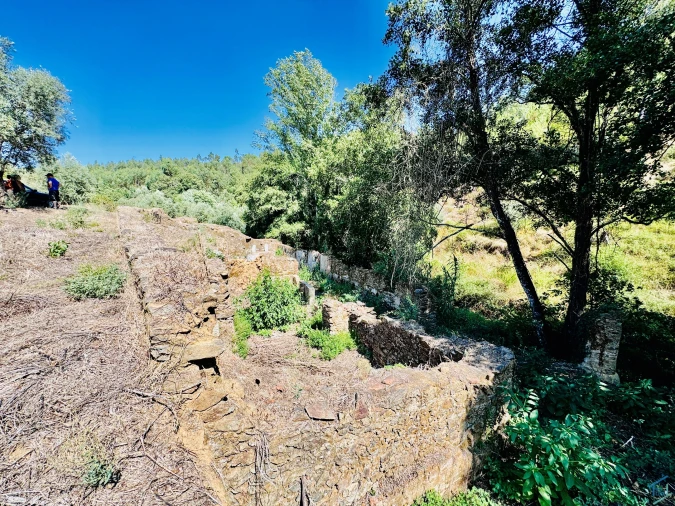 Terreno Agricola ou Rústico para Venda em Sardoal Foto 12