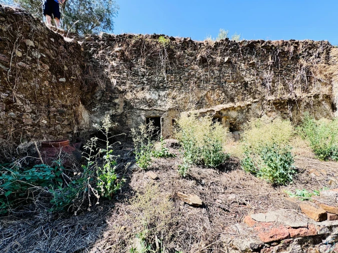 Terreno Agricola ou Rústico para Venda em Sardoal Foto 19