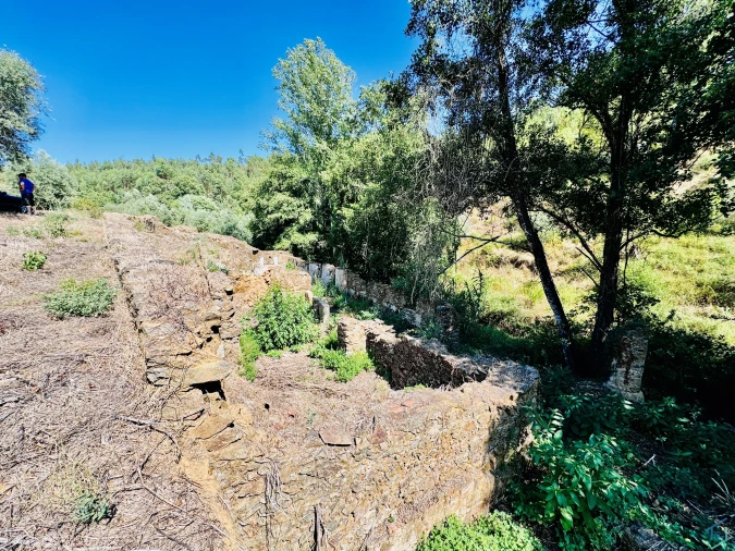 Terreno Agricola ou Rústico para Venda em Sardoal Foto 29