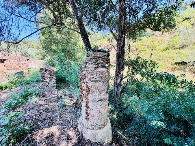 Terreno Agricola ou Rústico para Venda em Sardoal Foto 10