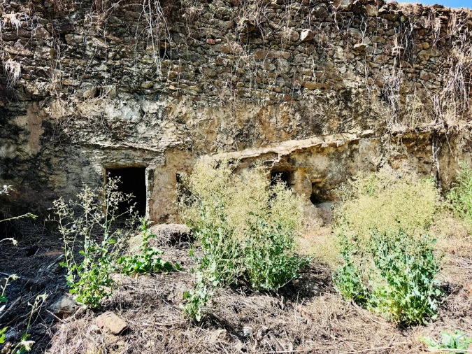 Terreno Agricola ou Rústico para Venda em Sardoal Foto 21