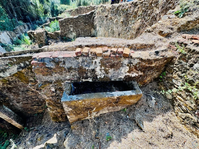 Terreno Agricola ou Rústico para Venda em Sardoal Foto 14