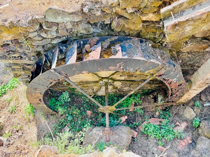 Terreno Agricola ou Rústico para Venda em Sardoal Foto 32