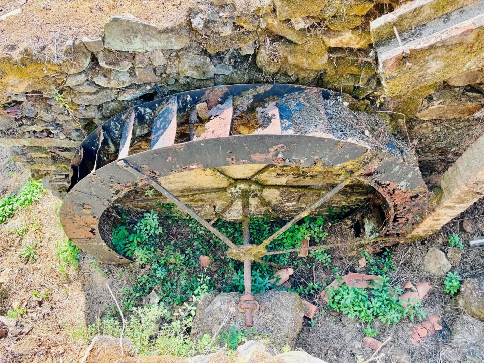 Terreno Agricola ou Rústico para Venda em Sardoal Foto 16