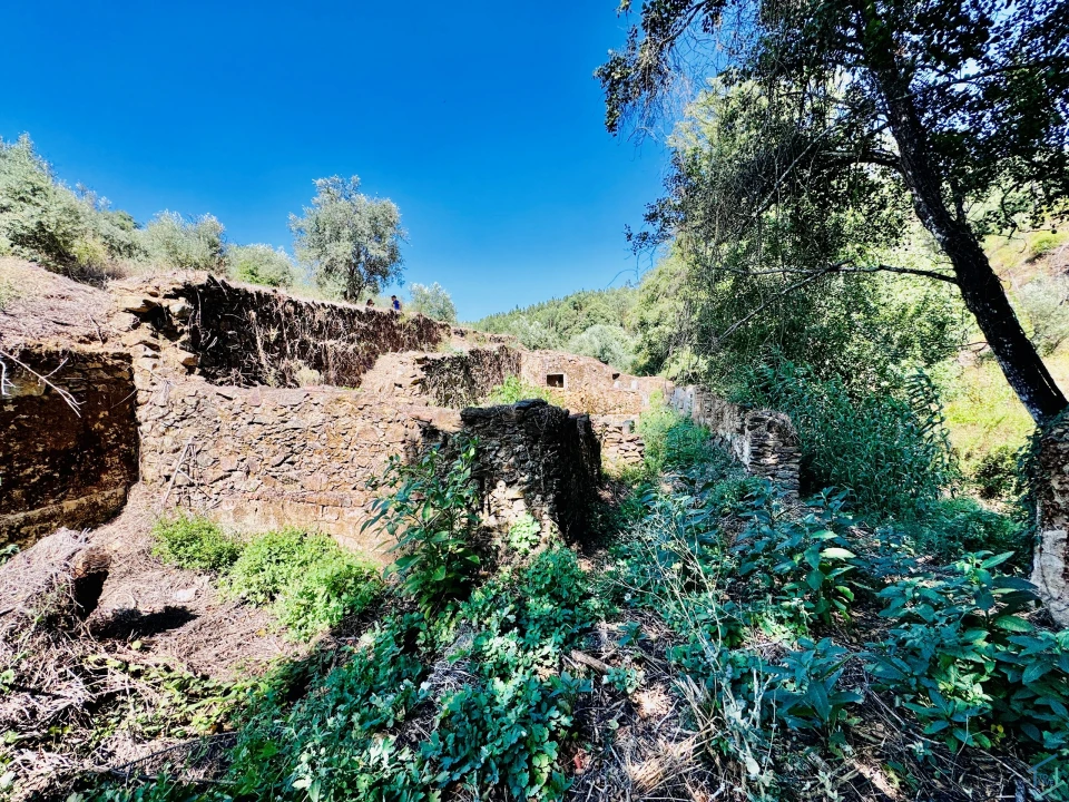 Terreno Agricola ou Rústico para Venda em Sardoal Foto 27
