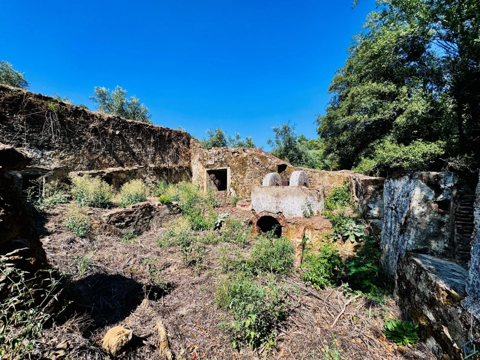 Terreno Agricola ou Rústico para Venda em Sardoal Foto 24
