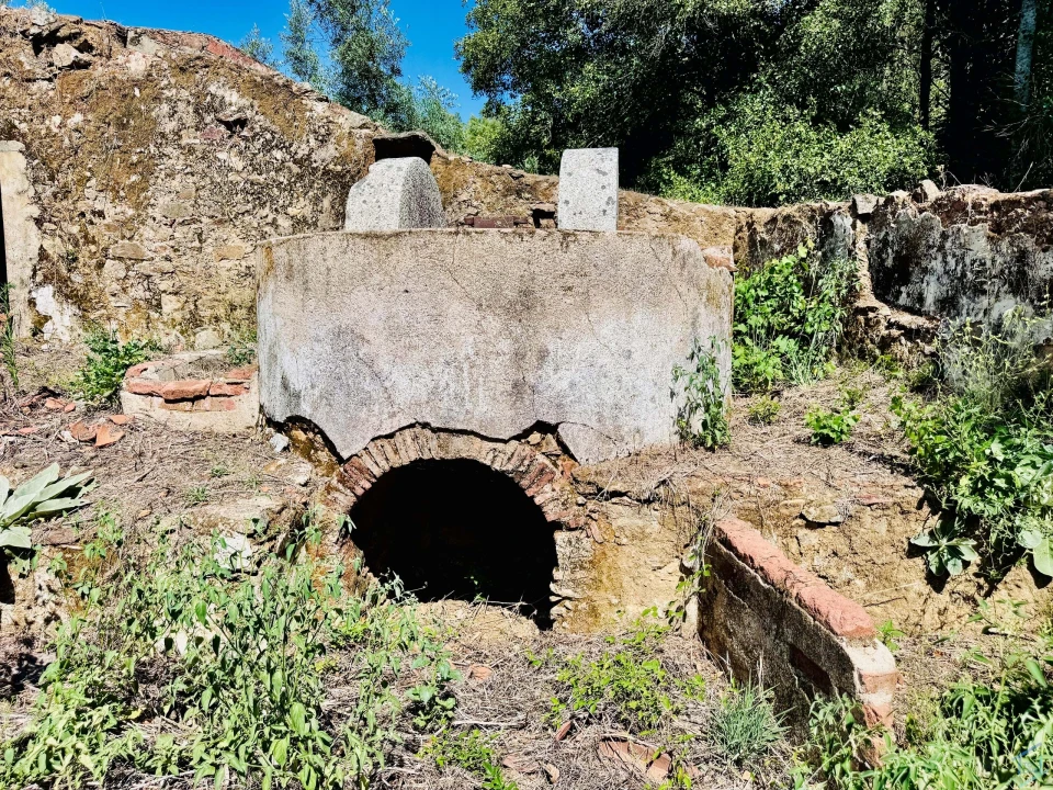 Terreno Agricola ou Rústico para Venda em Sardoal Foto 23