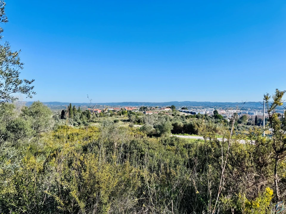 Terreno para Venda em São Pedro de Tomar Foto 14