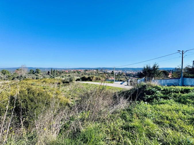 Terreno para Venda em São Pedro de Tomar Foto 13