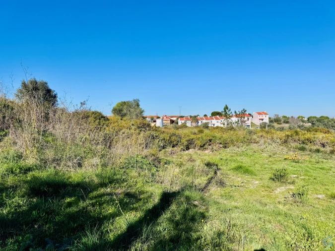 Terreno para Venda em São Pedro de Tomar Foto 16