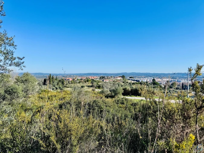 Terreno para Venda em São Pedro de Tomar Foto 14