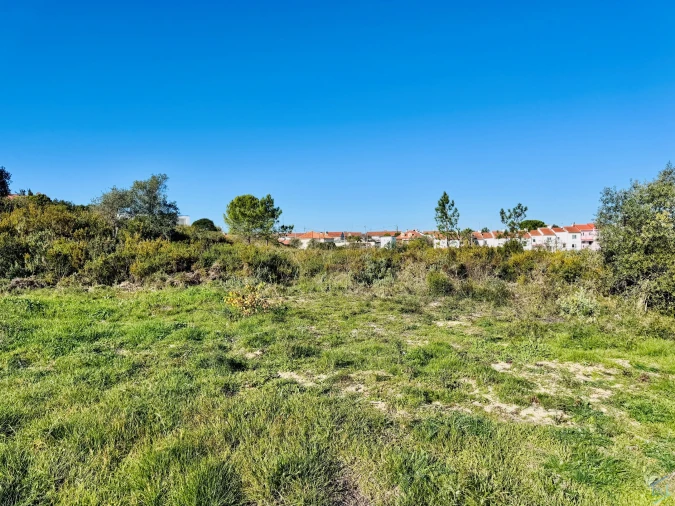 Terreno para Venda em São Pedro de Tomar Foto 18