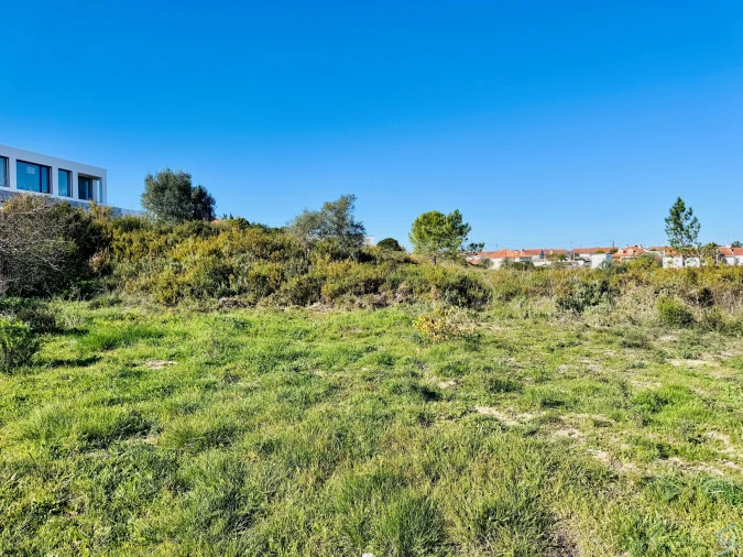 Terreno para Venda em São Pedro de Tomar Foto 3