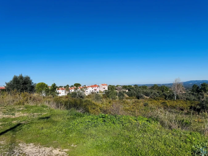 Terreno para Venda em São Pedro de Tomar Foto 15