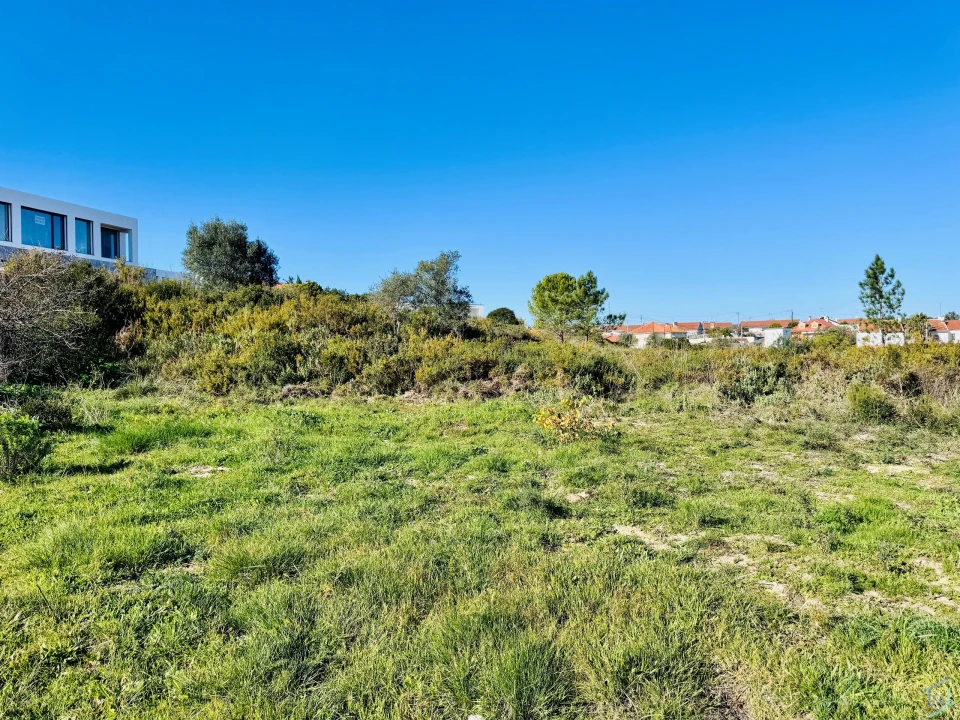 Terreno para Venda em São Pedro de Tomar Foto 3