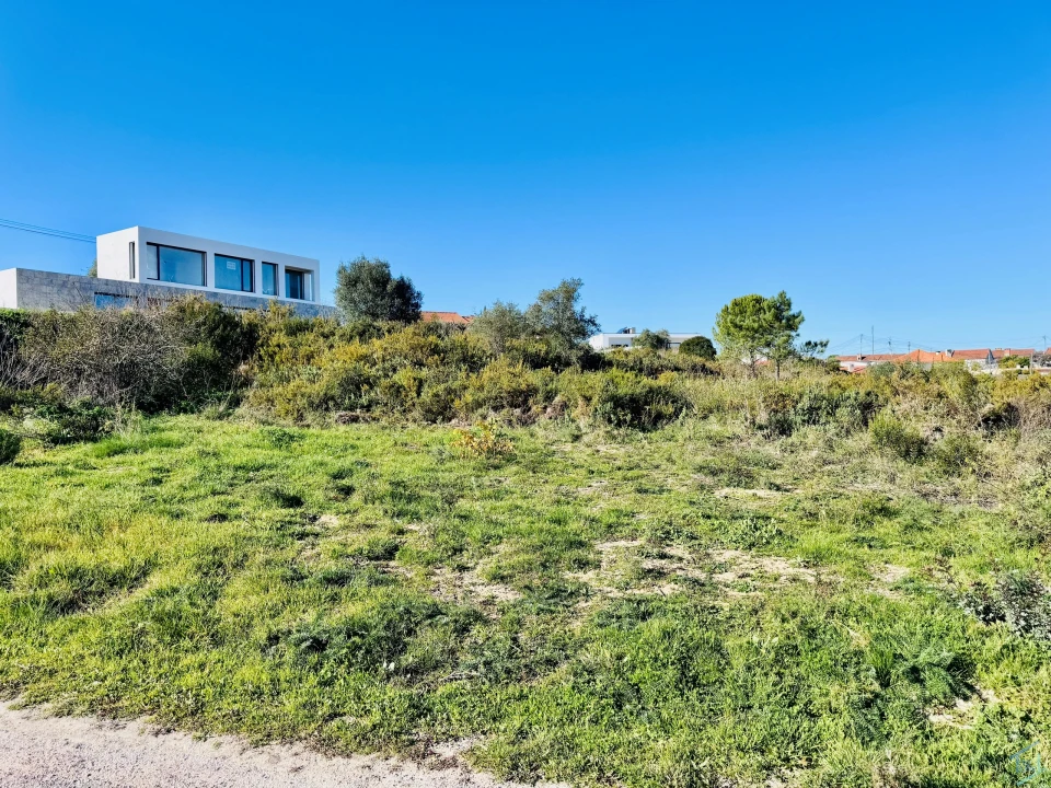 Terreno para Venda em São Pedro de Tomar Foto 12