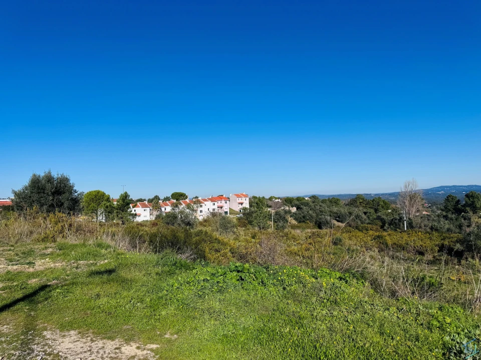 Terreno para Venda em São Pedro de Tomar Foto 15